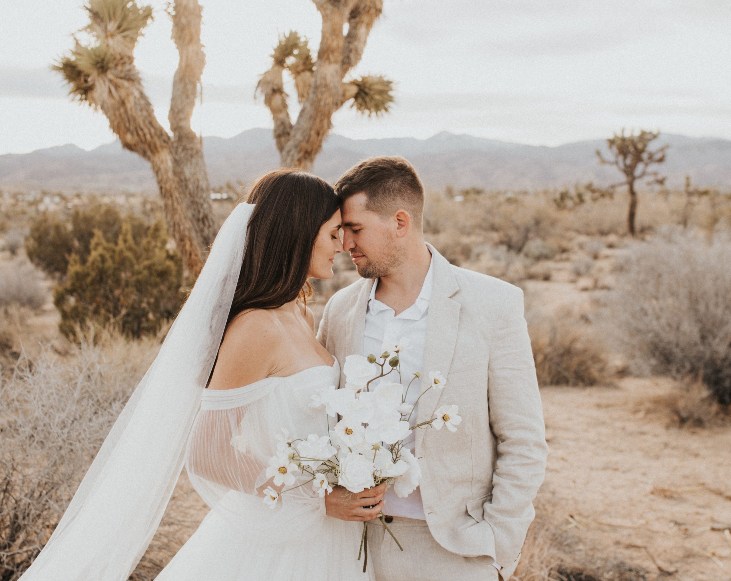 24+ Joshua Tree Wedding Photographer